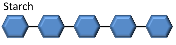 <p>The molecule of starch is different from a glucose molecule in this molecule</p>