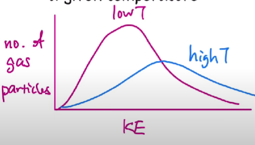 <ul><li><p>KE of particles at a given temperature. </p><ul><li><p>KE= ½ m * v sqrd</p></li><li><p><em>Kinetic energy</em></p></li><li><p><strong><em>In pink line, there are more gas particles that have a lower kinetic energy with a lower temperature while there a more particles with more kinetic energy in the blue line with a higher temperature. </em></strong></p></li></ul></li></ul>