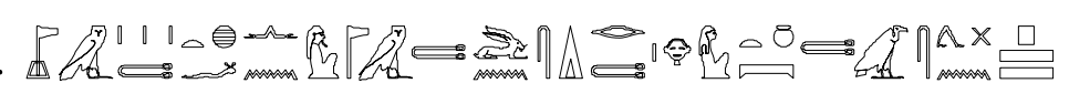 term image