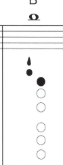 <p>Note name?</p>