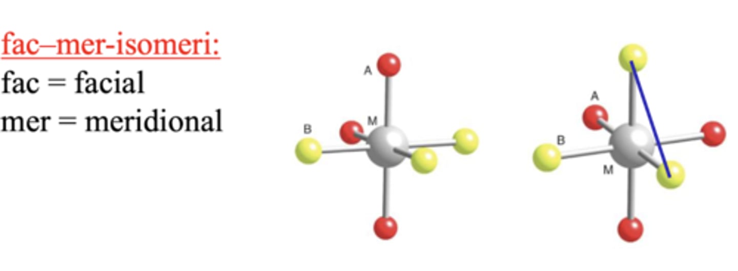 <p>1. Geometriske isomere</p><p>Cis/trans MB4C2</p><p>=> en rett opp og en rett ned</p><p>fac/mer MB3C3</p><p>=> 2x sidlengs T (bildet)</p><p>2. Optisk isomere MA2B2C2</p><p>=> Ser ut som speilbilde</p>