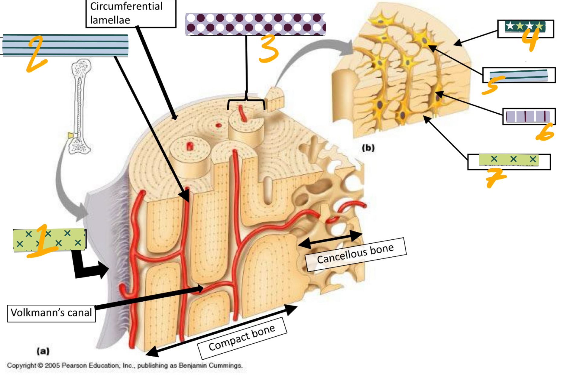 <p>area 3 </p><img src="blob:null/30f040ef-fd63-42a6-924a-37aa192a0ee8"><p></p>