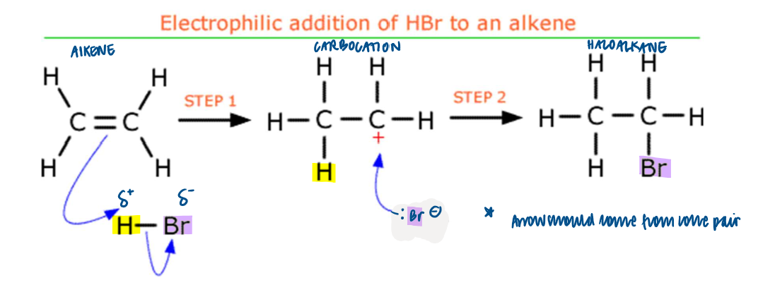 <p>react to form halogenoalkanes </p>