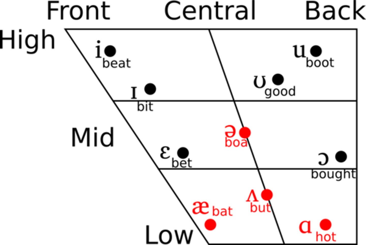 <p>schematic representation of the oral cavity in terms of two dimensions</p>