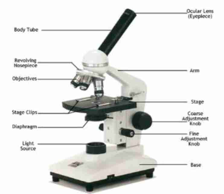 <p>Is an instrument used for magnifying and observing s<span style="color: var(--color-neutral-black)">mall objects.</span></p>