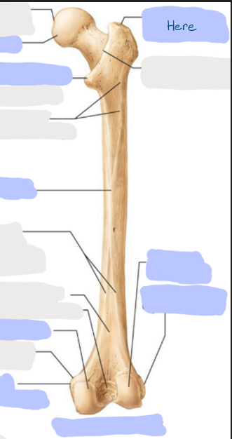 <p>What is here?</p>
