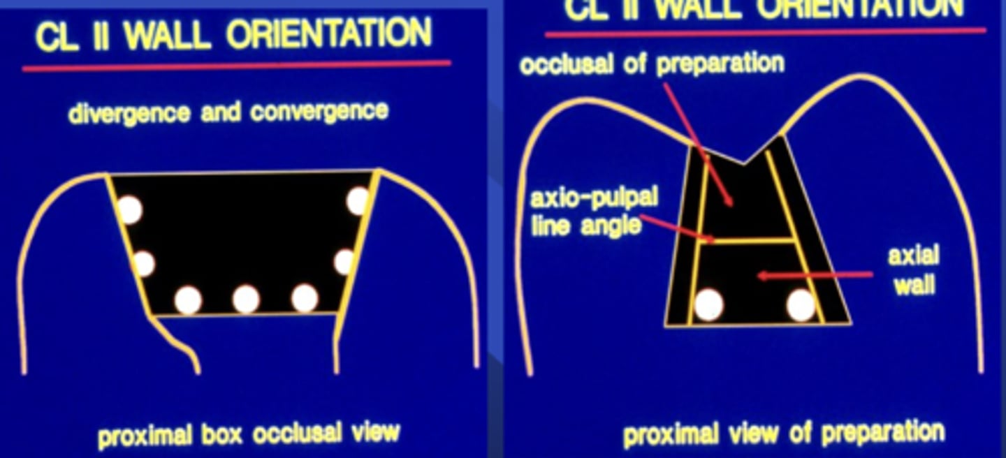 <p>90 degrees</p><p>-Parallel or tapering towards the occlusal</p><p>-facing each other, converging slightly towards occlusal</p>