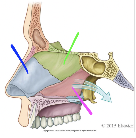 <p>what is this structure </p>