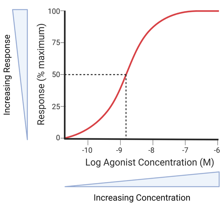 <p>EC<sub>50</sub> in concentration response curve</p>
