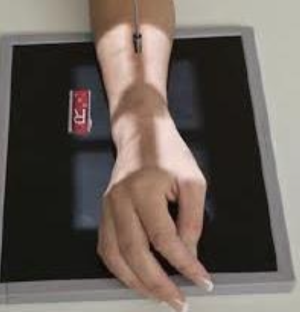 <p>PA oblique (wrist) </p>