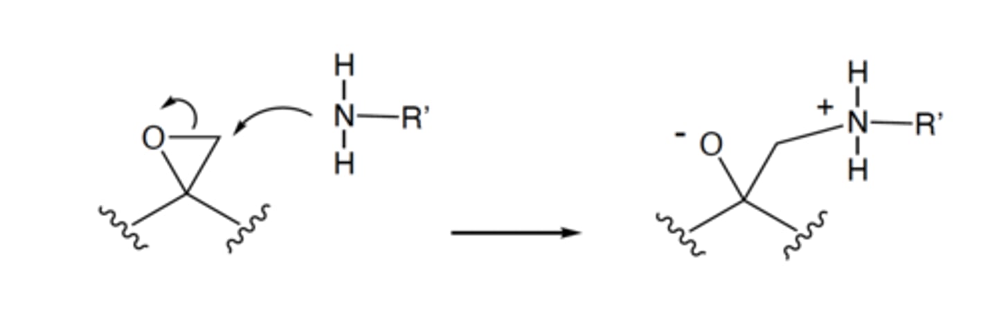 <p>electrons, nitrogen</p>