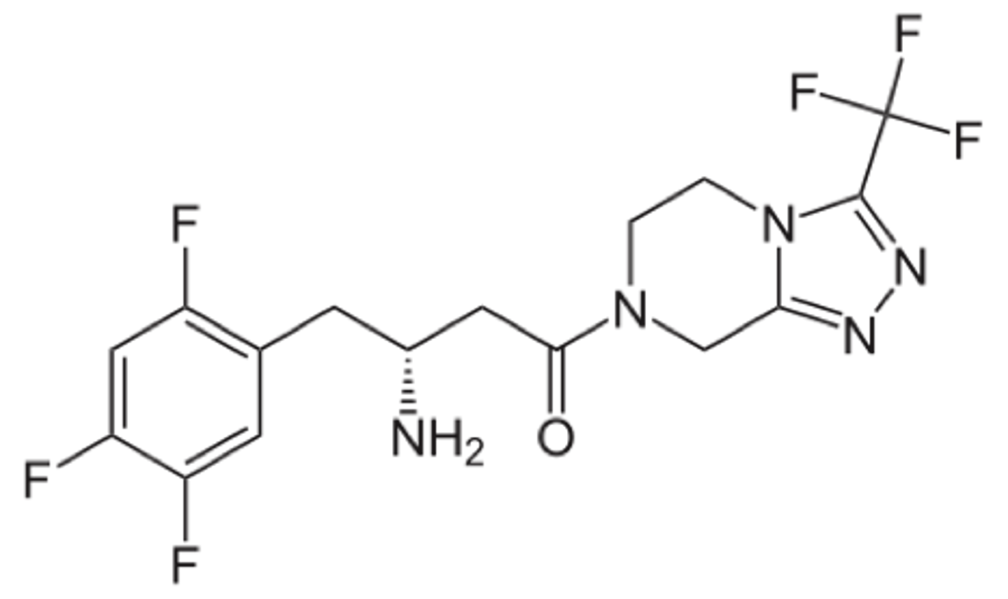 <p>DPP4 inhibitor</p>