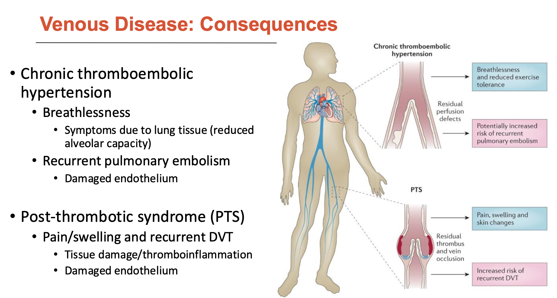 <ol><li><p><strong>Chronic thromboembolic hypertension</strong></p><ul><li><p>Breathlessness: due to lung tissue (reduced alveolar capacity)</p></li><li><p>Recurrent pulmonary embolism: damaged endothelium</p></li></ul></li><li><p><strong>Post-thrombotic syndrome (PTS)</strong></p><ul><li><p>pain/swelling and recurrent DVT</p><ul><li><p>tissue damage/thromboinflammation</p></li><li><p>damaged endothelium</p></li></ul></li></ul></li></ol><p></p>