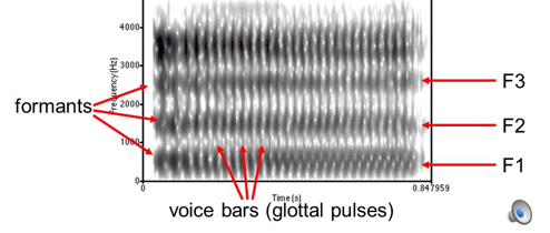 <p>Shows formants better than harmonics</p><p></p>