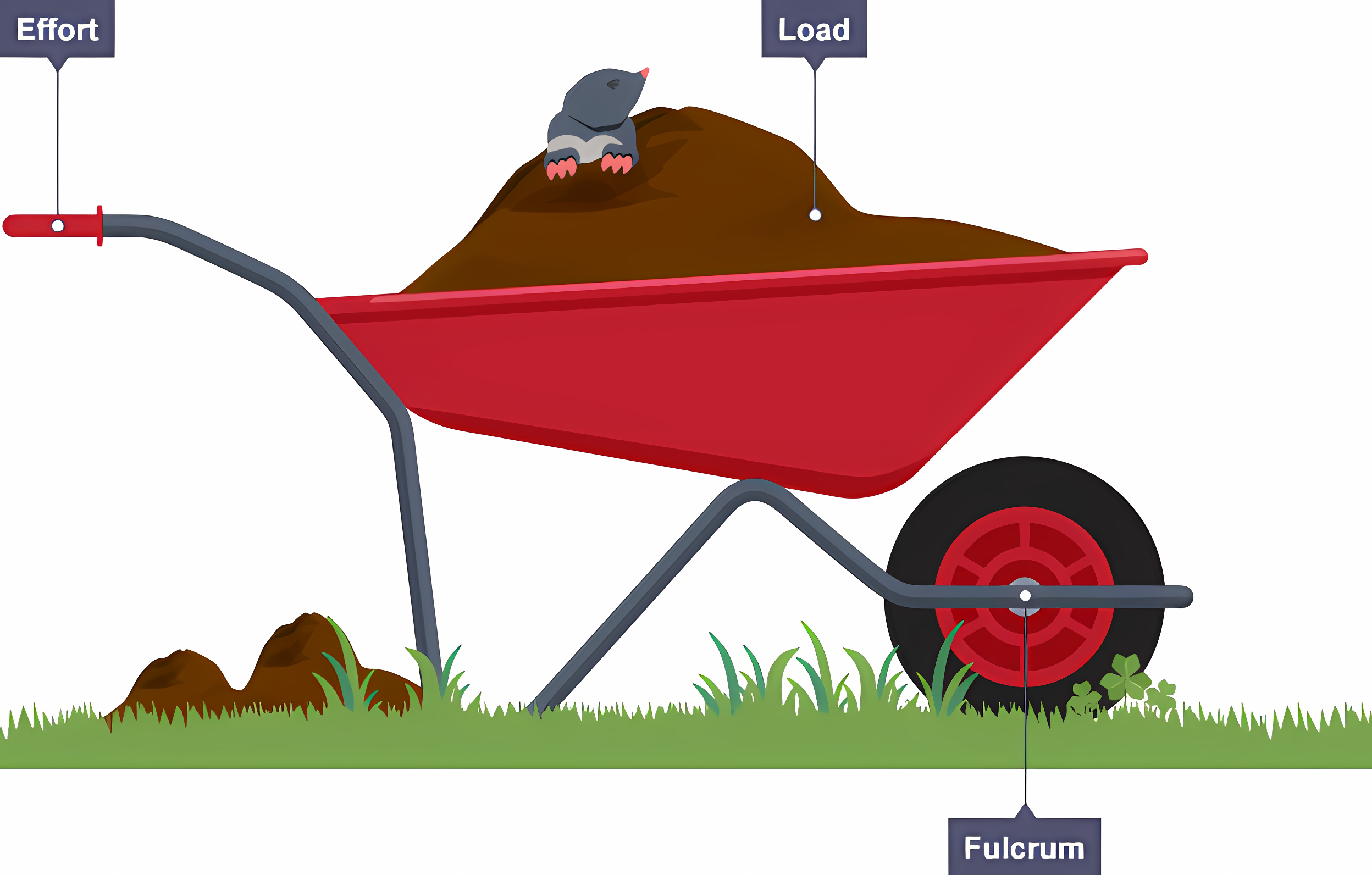 <p>The pivot (fulcrum) is at the end of the lever, away from the user. The load is in the middle, and the effort is near the user. (E.g. Nutcrackers, Wheelbarrows, or bottle openers)</p>