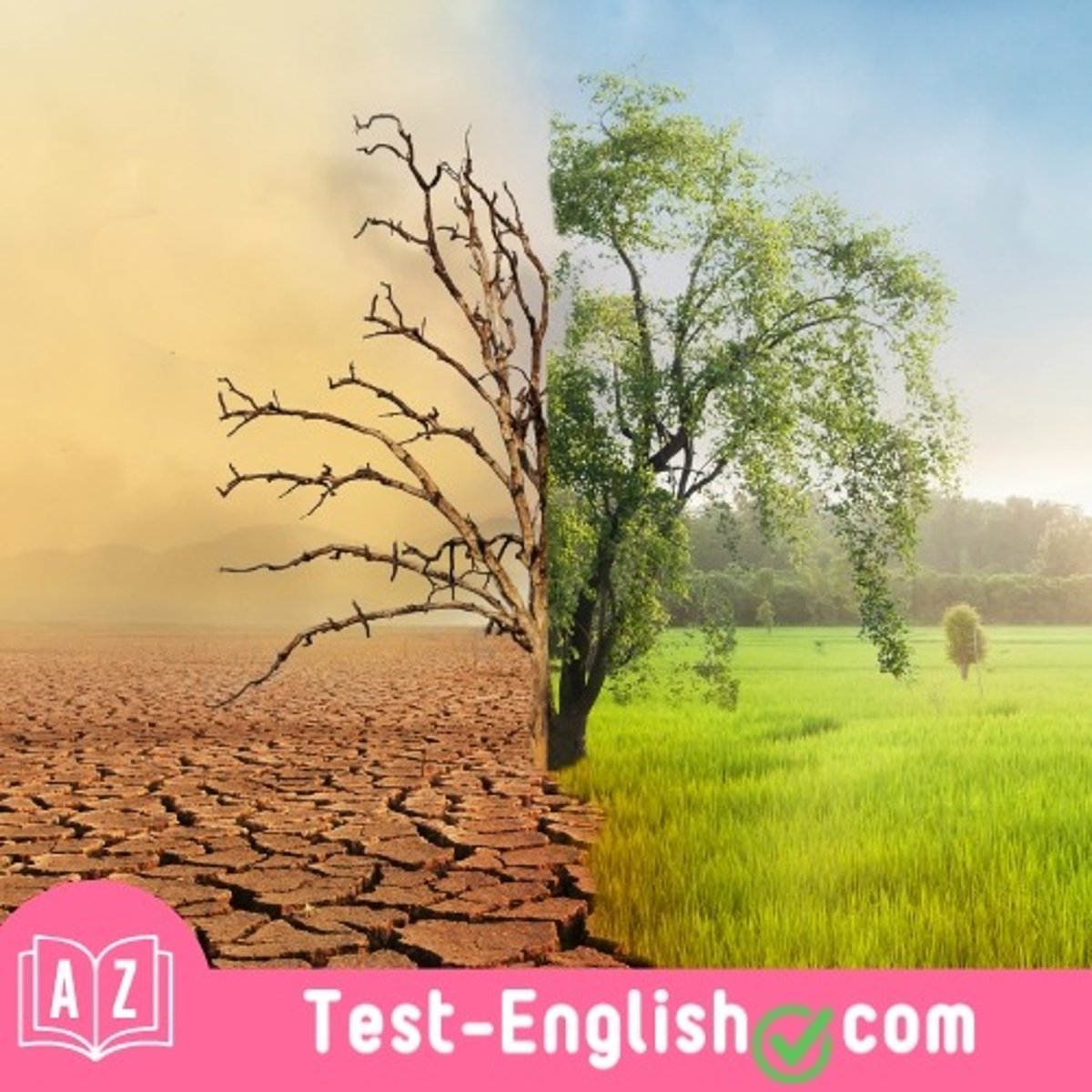<p>Over-farming and drought have led to _____ in the region.</p>