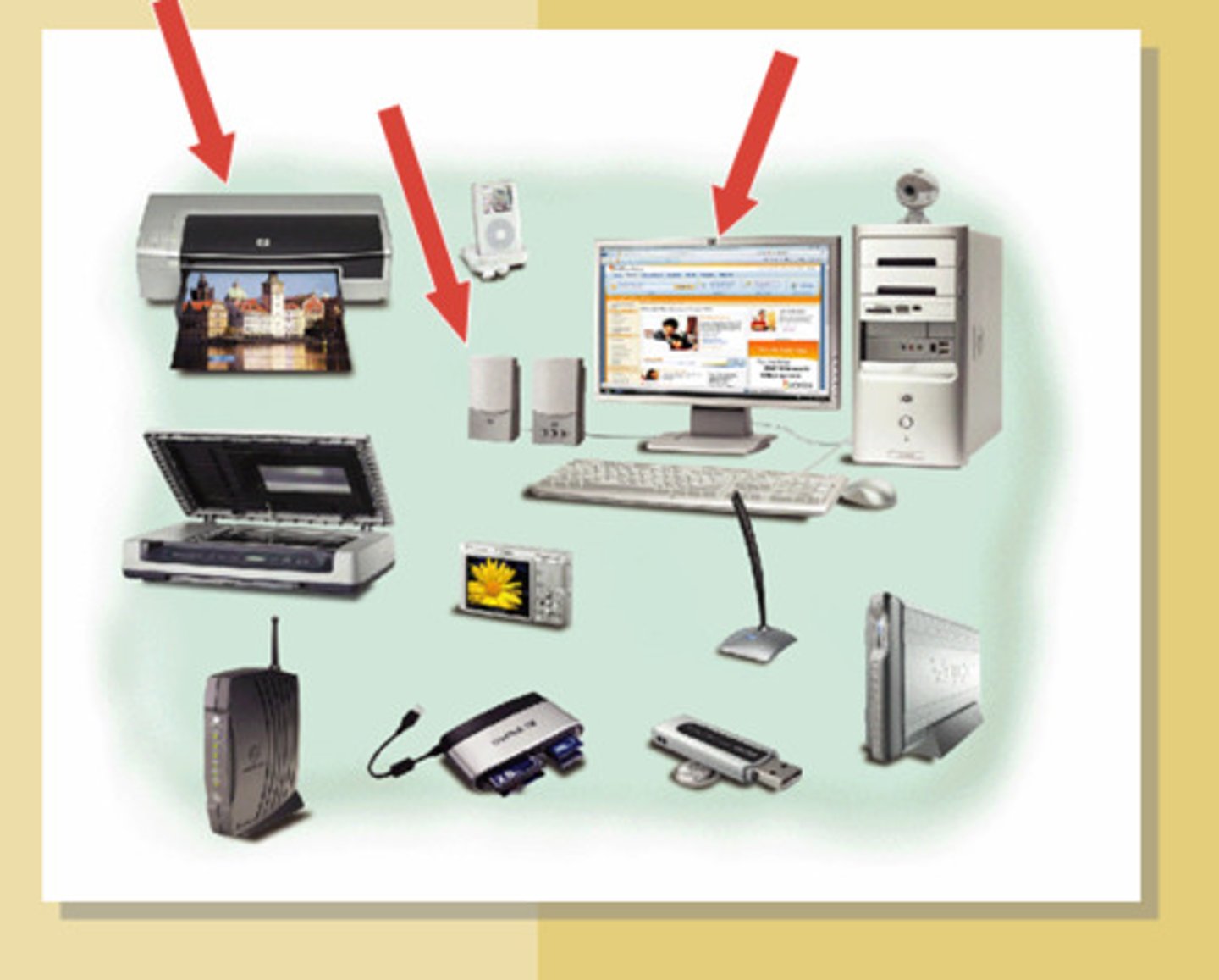 <p>Any device that receives data from a computer; Example: printer</p>