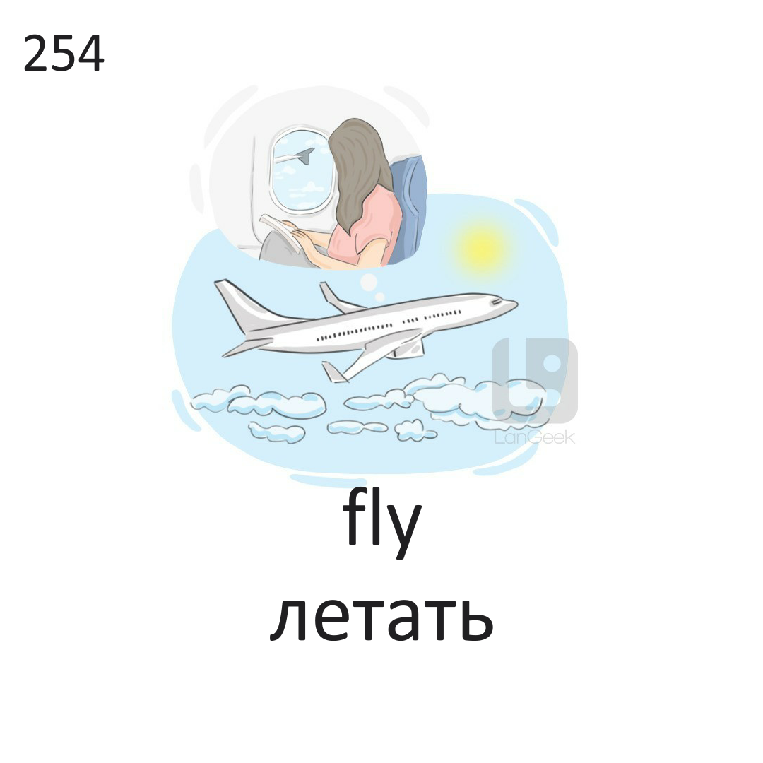 <p>Fly</p>