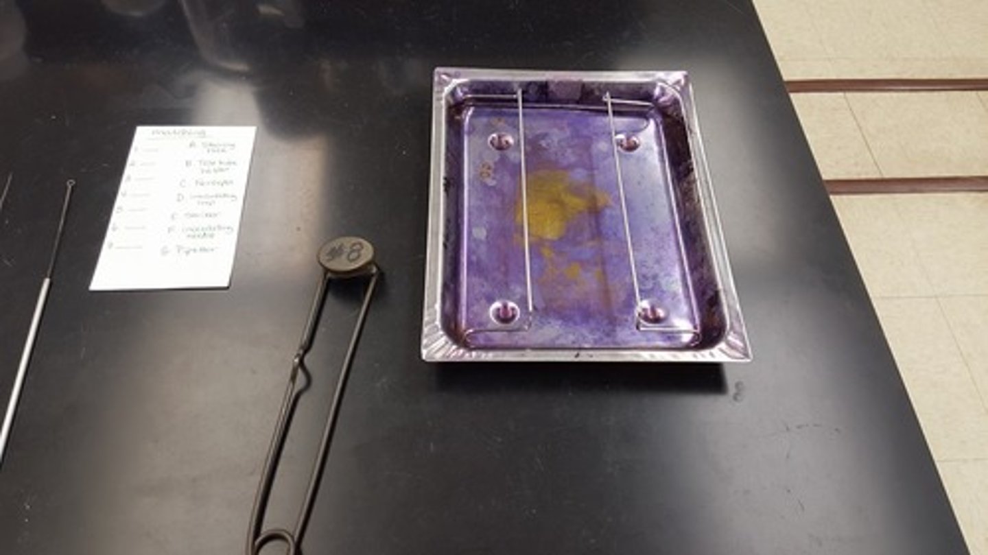 <p>Tray used for staining specimens.</p>
