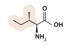<p>what aa is this</p>