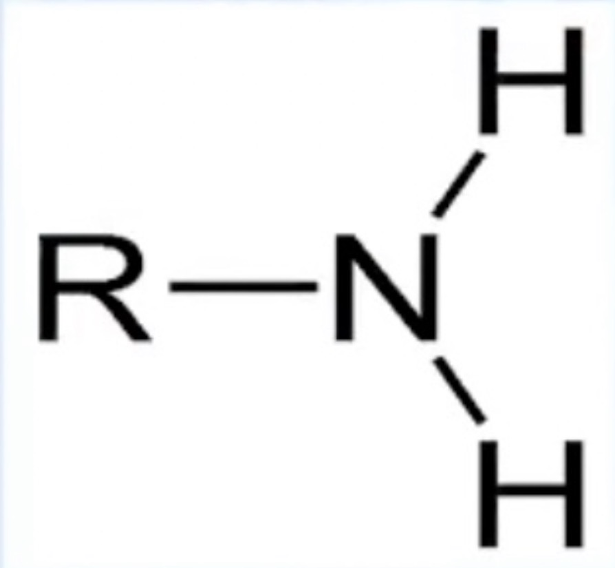 <p>Amino; Nitrogen bonded to two hydrogen</p>