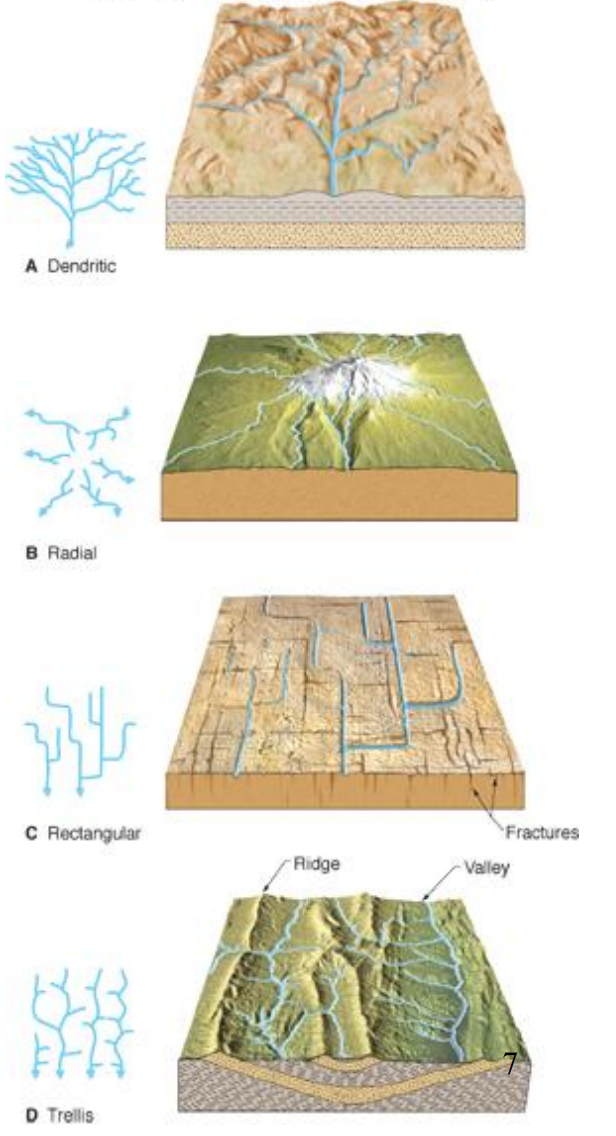 <p>Dendritic</p><p>Radial</p><p>Rectangular</p><p>Trellis</p>