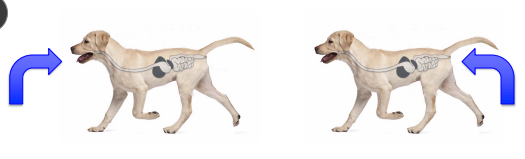 <p><span style="background-color: transparent;"><strong><span>Endoscopy vs Gastric Surgery</span></strong></span></p>