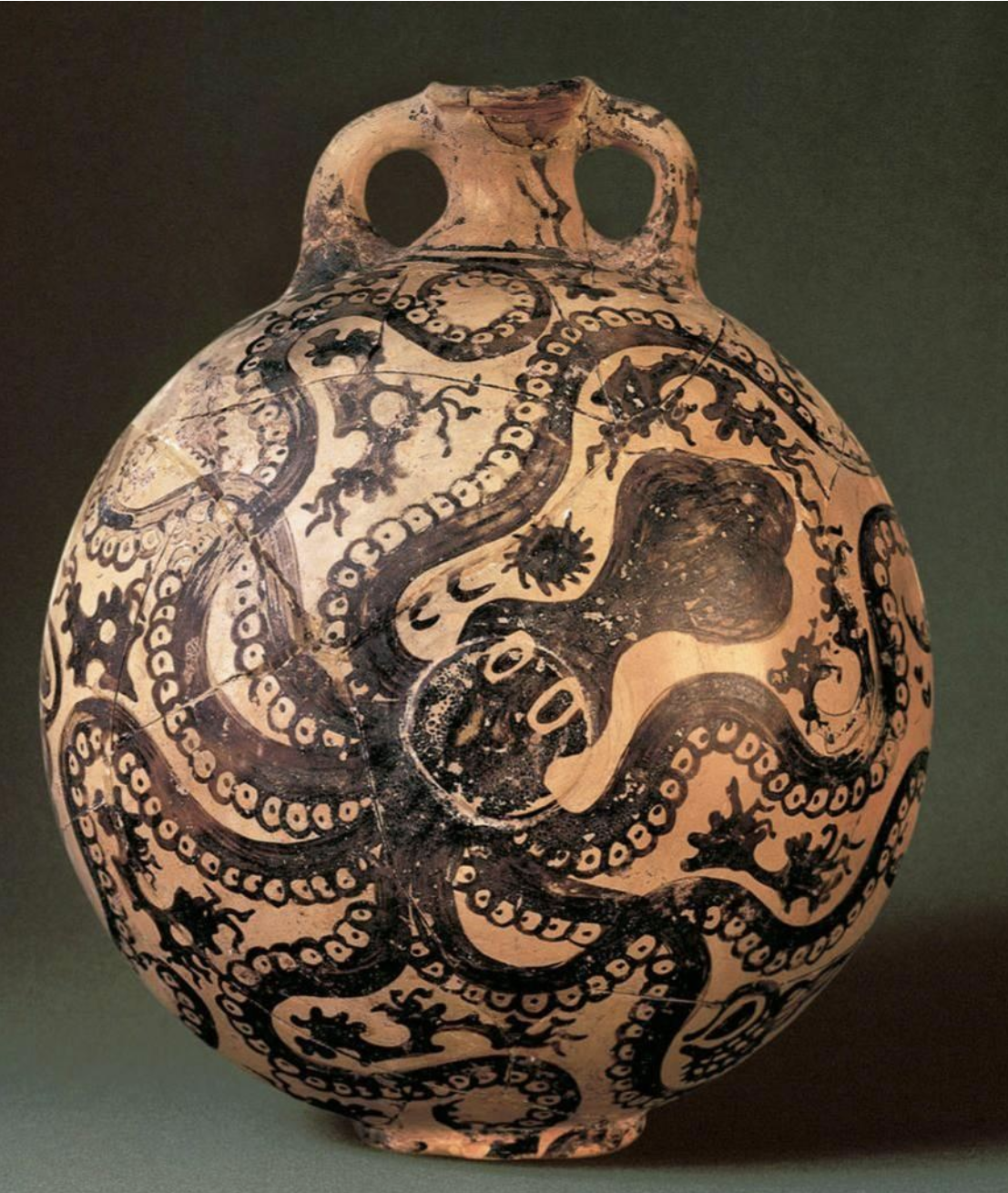 <p><span>Which of the following statements about the octopus flask is&nbsp;</span><strong>false?</strong></p><ul><li><p><span>It is an unusual object of Minoan art because it depicts marine life.</span></p></li><li><p><span>It successfully resolves the painted imagery with the flask's curved surfaces.</span></p></li><li><p><span>Its diagonals and organic shapes imply lively movement.</span></p></li><li><p><span>The artist filled the spaces between the tentacles with other marine-related life.&nbsp;</span></p></li></ul><p></p>