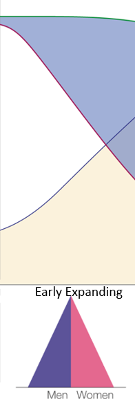 <p>Early expanding </p><p>Birth rates - high<br>Death rates - Falling<br>Natural Increase - Increasing</p>