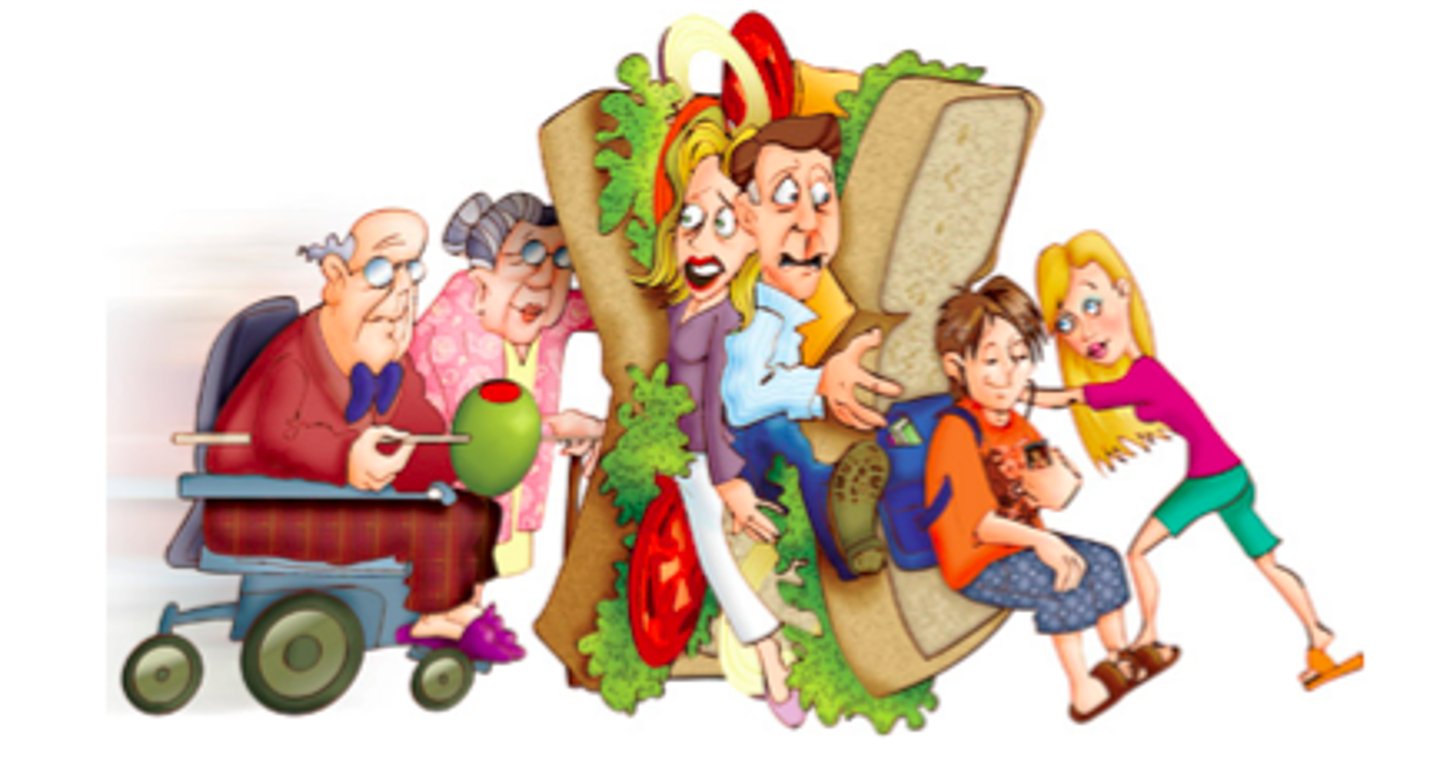 <p>the generation of adults who simultaneously try to meet the competing needs of their parents and their children</p>