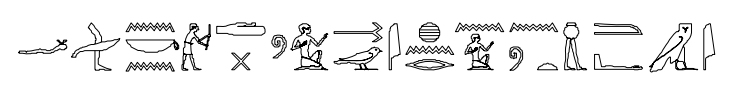 term image