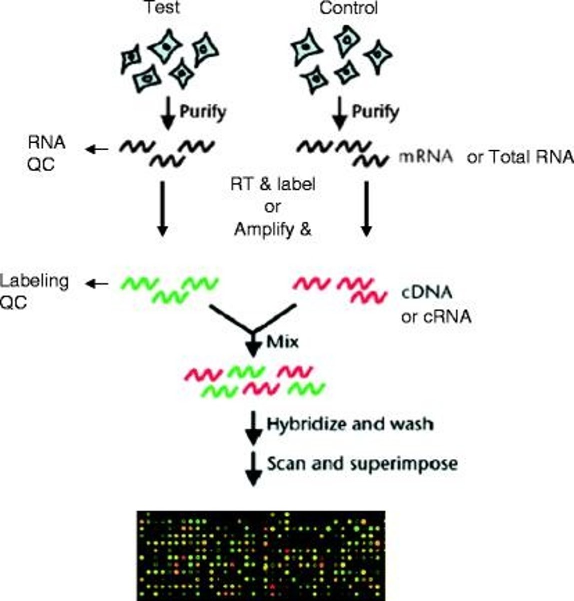 <p>A microarray with 84 UPR-associated genes.</p>