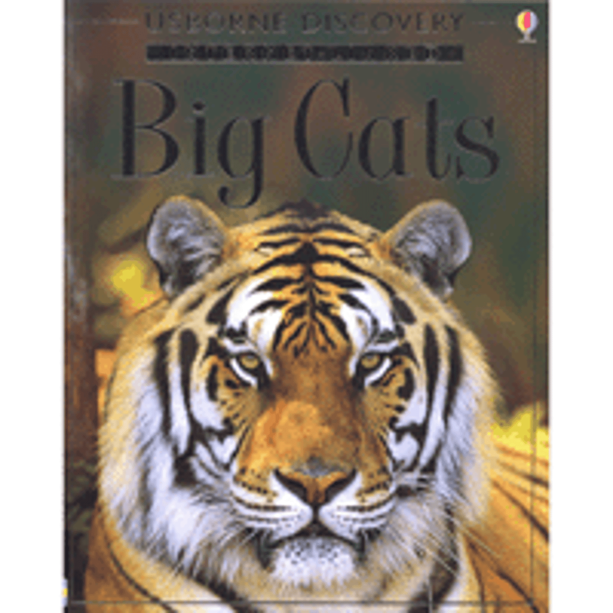 <p>writing that tells about real people, places, and events</p>