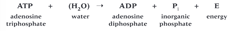 <p>they release a considerable amount of energy</p>
