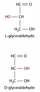 <p>L or D </p>