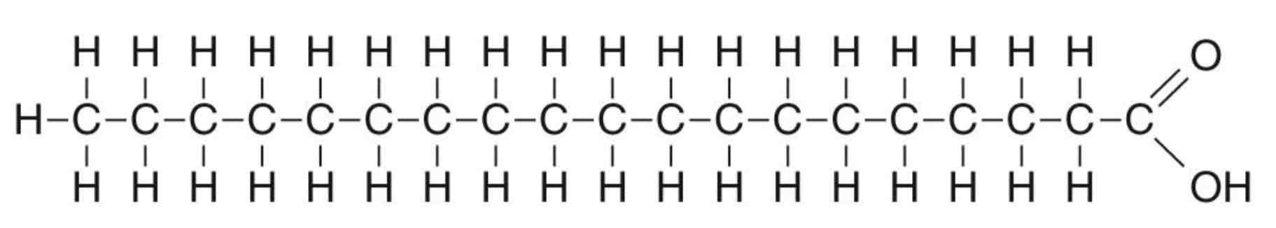<p><strong>Saturated fatty acids</strong> contain only single bonds between Carbon atoms, They have <strong>no double bonds </strong>between neighbouring carbon atoms in the hydrocarbon tail. A saturated fatty acid carries the <strong>maximum possible number of hydrogen atoms.</strong> Saturated fatty acids are solid. Animal lipids tend to be saturated. There is a possible link between the consumption of saturated fatty acids and <strong>heart disease.</strong> A saturated fatty acid is shown below.</p>