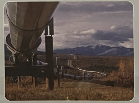 <p>How does the use of technology help balance economic development with conservation?</p>