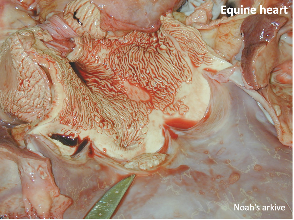 <p>What is this showing?</p>