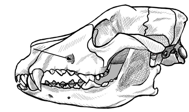 <p>what is this arrow pointing to </p>