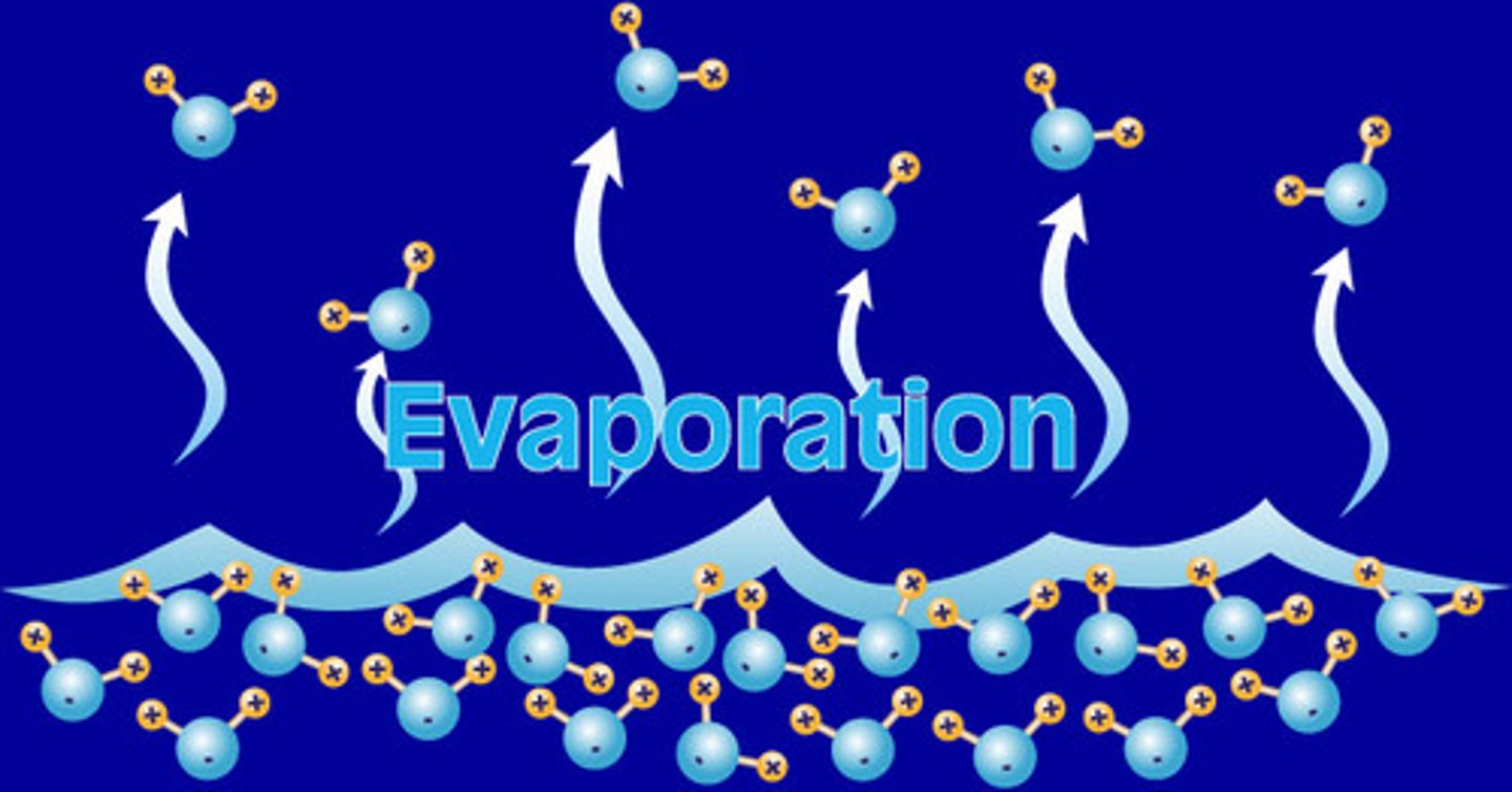 <p>Change of state from a liquid to a gas (that occurs at at the surface of a liquid below it's boiling point)</p>