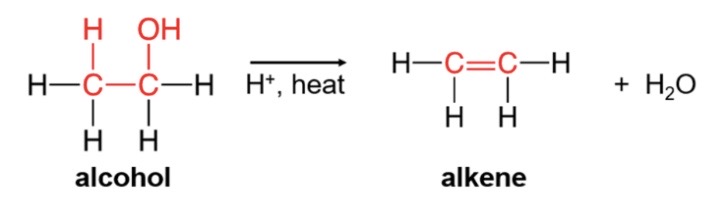 \-alkene(2 double bonned c)+ water 

\-loses -H and -OH from adjacent carbon atoms of the same alcohol 