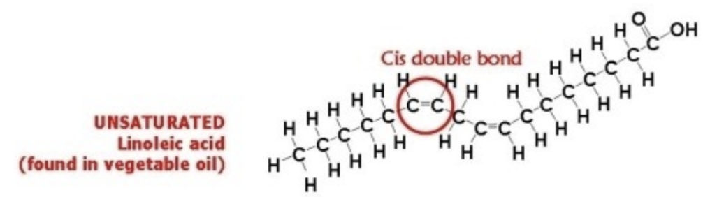 <ul><li><p>Presence of double bonds</p></li><li><p>Trans bonds</p></li><li><p>Cis bonds</p></li></ul>