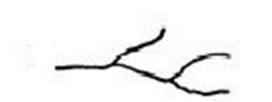 <p>Which ridge line is this?</p>