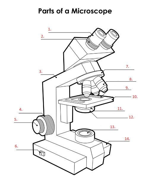 <p>5?</p>
