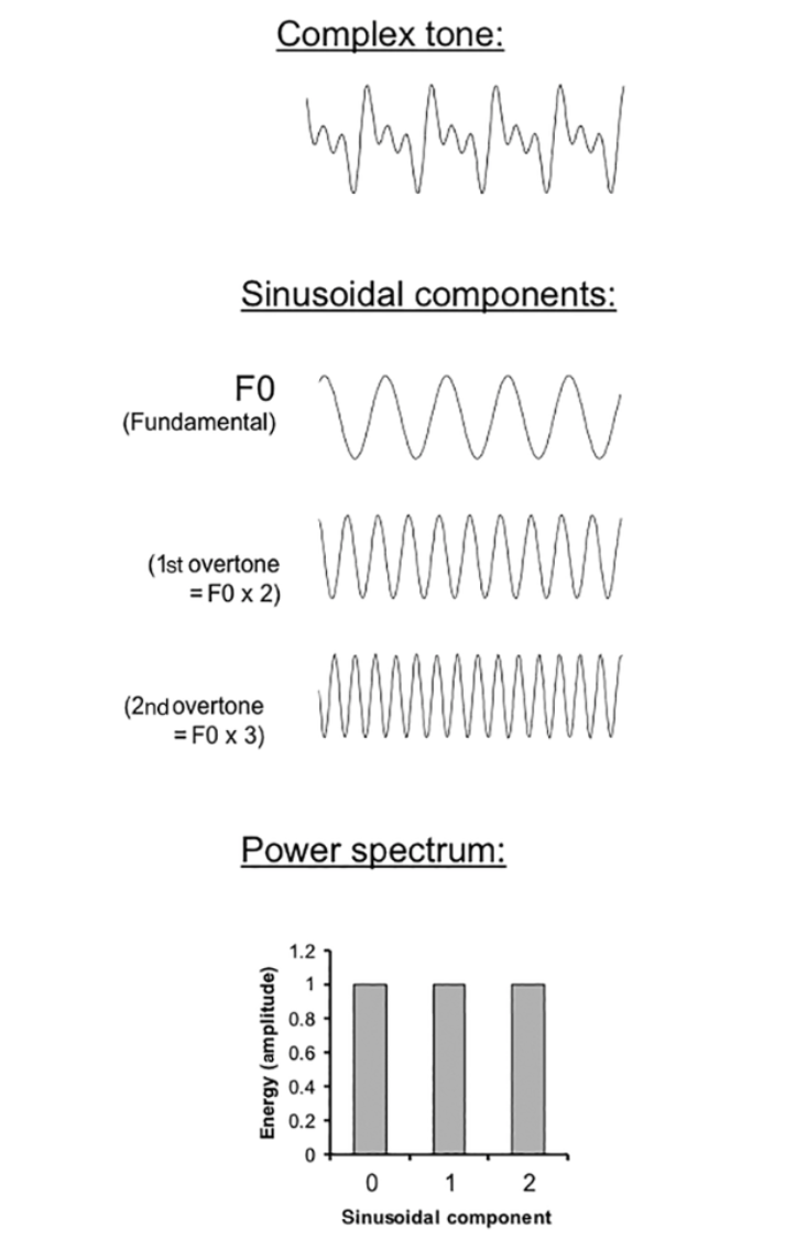 <p>the process by which a complex wave is decomposed into a set of component sinusoids </p>