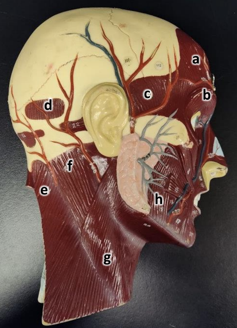 <p>What is C</p>