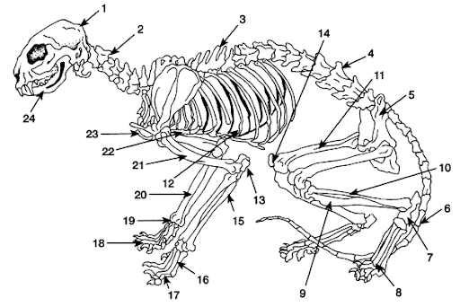 <p>DEFINITION</p><p>5</p>
