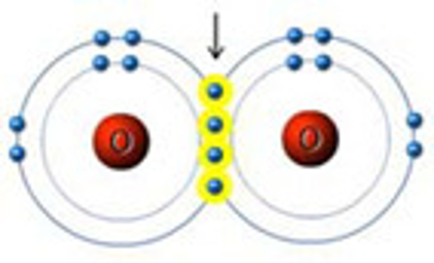 <p>4 electrons (or 2 pairs of electrons) being shared between 2 atoms (made up of 1 sigma bond and 1 pi bond)</p>