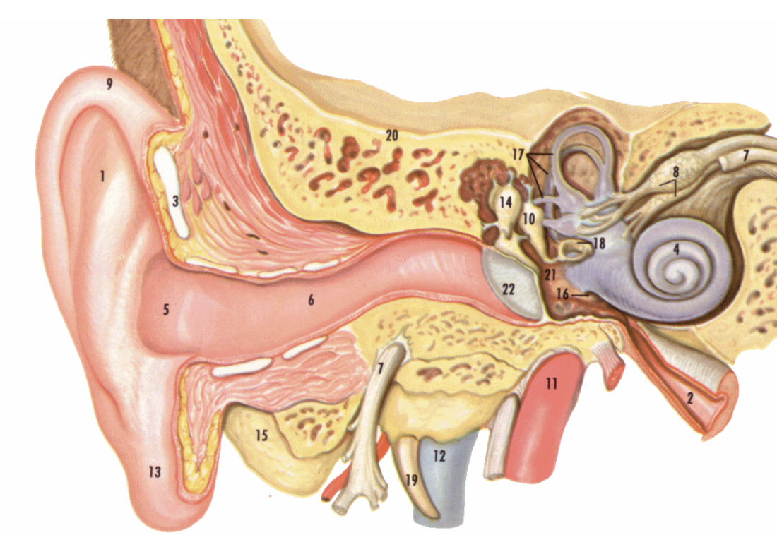 <p>label 16, 21, 2</p>