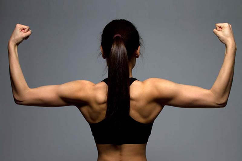 <p>40 Muscular</p>
